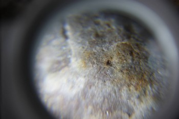 2017-02-23 09-46-50.JPG