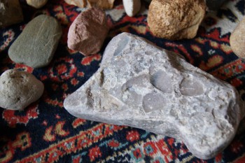 2017-02-23 09-43-52.JPG