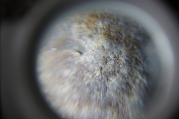 2017-02-23 09-46-38.JPG