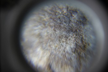 2017-02-23 09-46-24.JPG