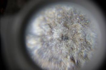 2017-02-23 09-46-08.JPG