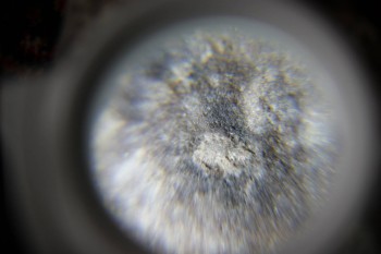 2017-02-23 09-46-00.JPG