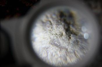 2017-02-23 09-45-48.JPG