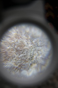 2017-02-23 09-45-34.JPG