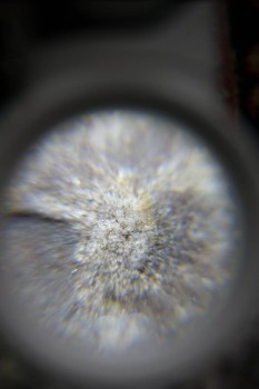 2017-02-23 09-45-26.JPG