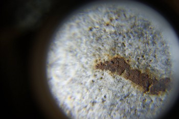 2017-02-24 03-36-02.JPG