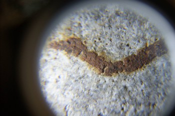 2017-02-24 03-36-50.JPG