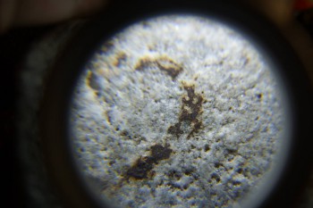 2017-02-24 03-37-50.JPG