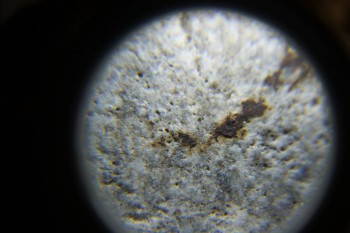 2017-02-24 03-38-02.JPG