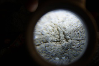 2017-02-24 03-38-36.JPG