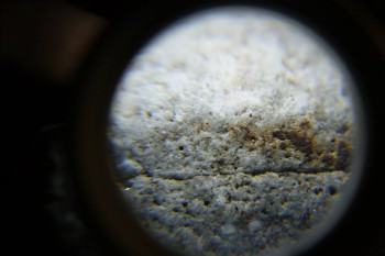 2017-02-24 03-38-50.JPG