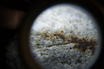 2017-02-24 03-39-04.JPG