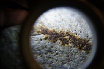 2017-02-24 03-39-20.JPG