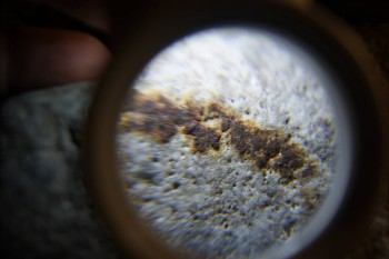 2017-02-24 03-39-32.JPG