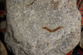 2017-02-22 16-36-52.JPG