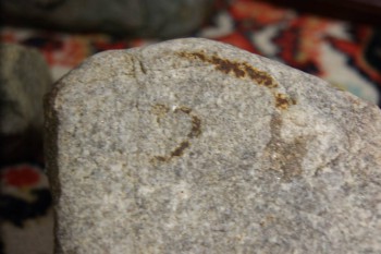 2017-02-22 16-36-56.JPG