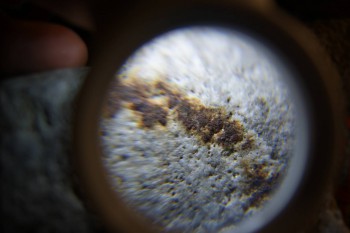 2017-02-24 03-39-36.JPG