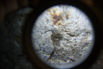 2017-02-24 03-40-26.JPG