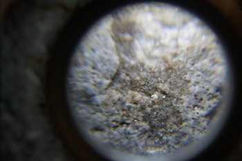 2017-02-24 03-40-32.JPG