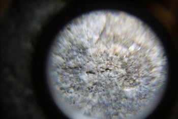 2017-02-24 03-40-40.JPG