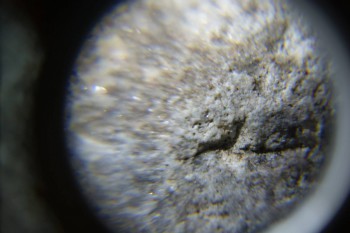 2017-02-24 03-41-10.JPG