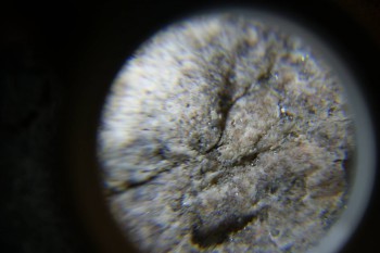 2017-02-24 03-41-22.JPG