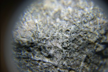 2017-02-24 03-42-28.JPG