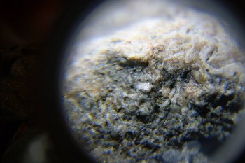 2017-02-24 03-43-02.JPG