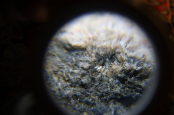 2017-02-24 03-43-28.JPG