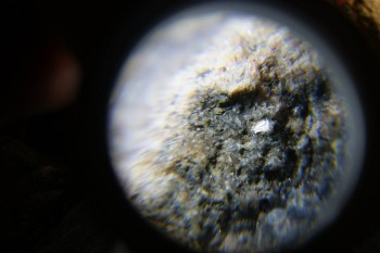 2017-02-24 03-43-54.JPG