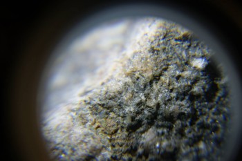 2017-02-24 03-44-44.JPG