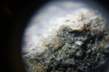 2017-02-24 03-45-10.JPG