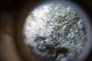 2017-02-24 03-45-34.JPG