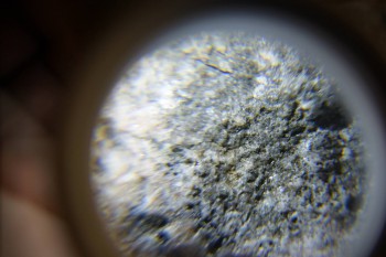 2017-02-24 03-45-38.JPG