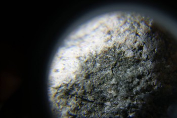 2017-02-24 03-46-24.JPG