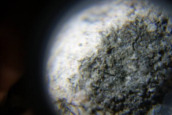 2017-02-24 03-46-40.JPG