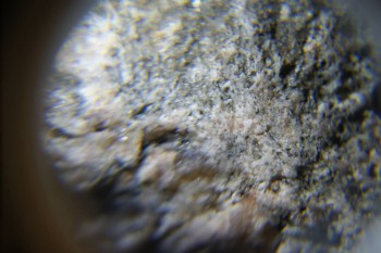 2017-02-24 03-46-56.JPG