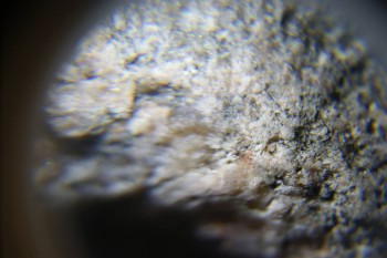 2017-02-24 03-47-04.JPG