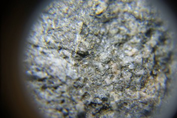 2017-02-24 03-48-12.JPG