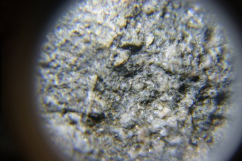 2017-02-24 03-48-16.JPG