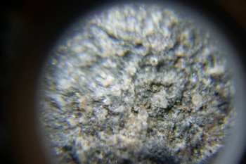 2017-02-24 03-48-26.JPG