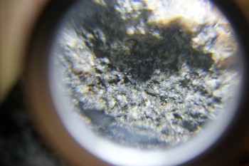 2017-02-24 03-49-32.JPG