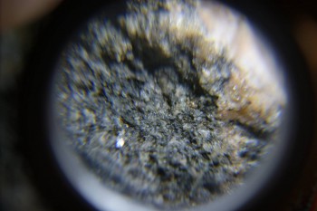 2017-02-24 03-49-48.JPG