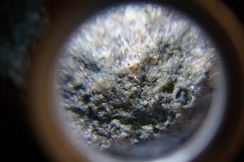 2017-02-24 03-50-26.JPG