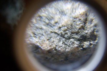 2017-02-24 03-50-40.JPG