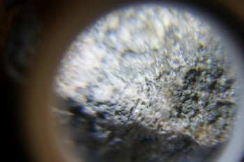 2017-02-24 03-50-46.JPG