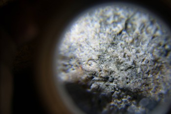 2017-02-24 03-51-18.JPG