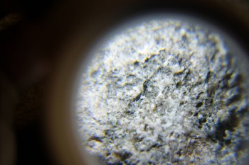 2017-02-24 03-51-24.JPG