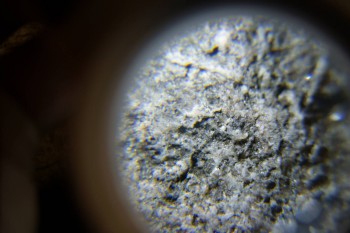 2017-02-24 03-51-30.JPG