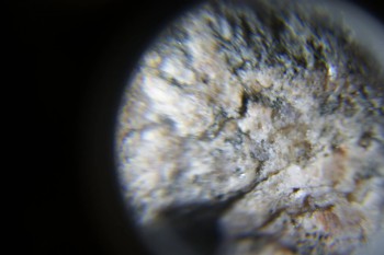 2017-02-24 03-51-50.JPG